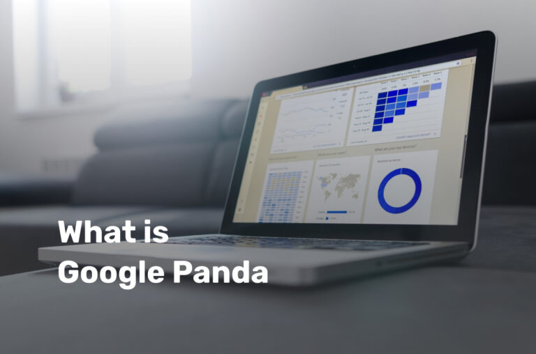 Google Panda Algorithm: A Detailed Analytical Review